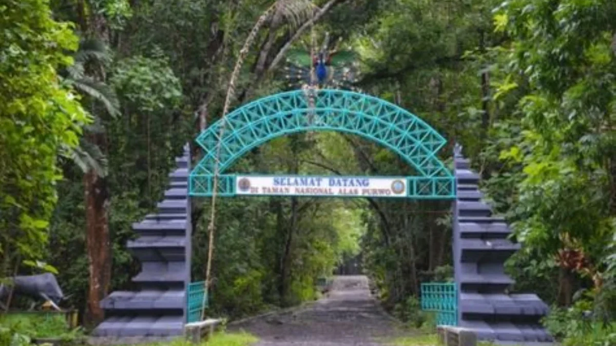 Mengungkap Pesona dan Misteri Alas Purwo, Hutan Tertua di Pulau Jawa