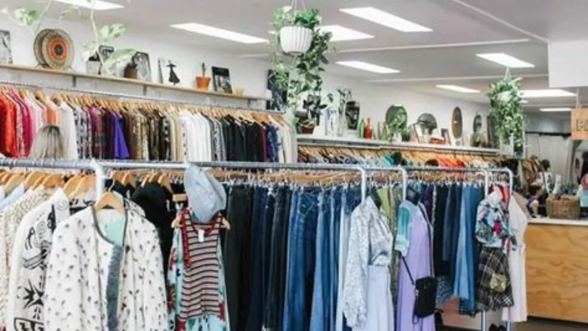 3 Tips Cerdas Berburu Pakaian Bekas di Thriftstore: Hemat, Stylish, dan Ramah Lingkungan