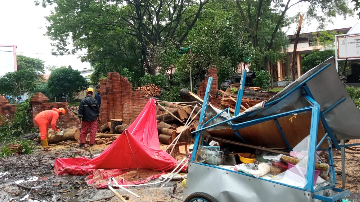 Pohon di Depan Gedung Kesenian Rarasantang Tumbang, Menimpa Pasutri