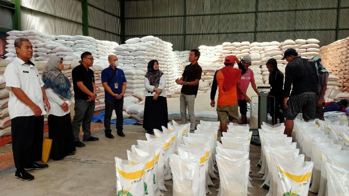 Belum Masuk Masa Panen, Stok Beras di Gudang Bulog Cirebon sudah Mencapai 72.000 Ton