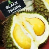 Kamu Pecinta Durian, 5 Jenis Durian Import yang Enak 