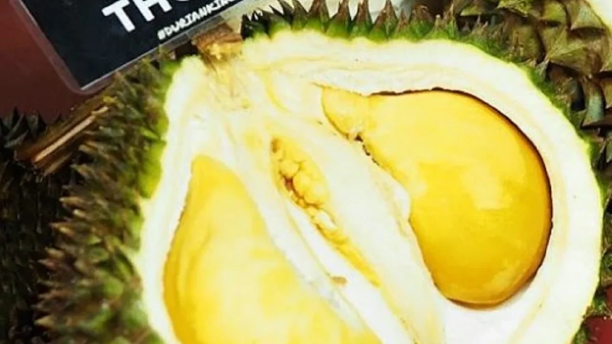 Kamu Pecinta Durian, 5 Jenis Durian Import yang Enak 