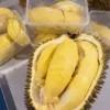 Tidak Kalah Enak, 5 Jenis Durian Lokal yang Harus Kamu Coba