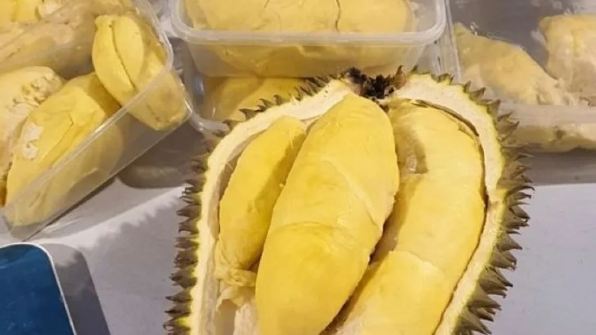 Tidak Kalah Enak, 5 Jenis Durian Lokal yang Harus Kamu Coba