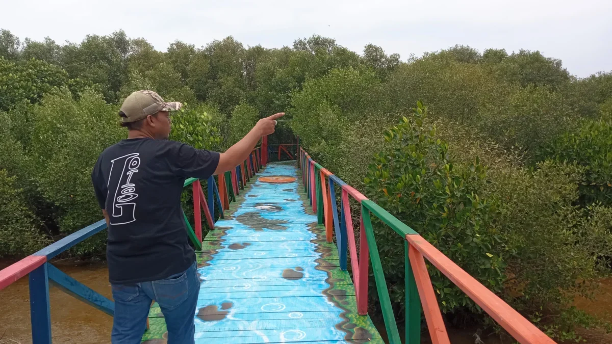 Mangrove Dewi Bahari Mundu Pesisir Cirebon Rencanakan Pembangunan Trek Baru dan Budidaya Lele