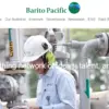 Pengaruh Barito Pacific