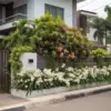 7 Jenis Tanaman Merambat di Pagar yang Asri dan Indah, Cocok untuk Hiasan Depan Rumah
