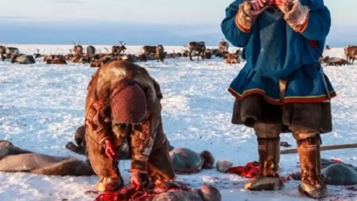 Hidup di Suhu Ekstrim dan Dingin, Fakta Tentang Suku Inuit