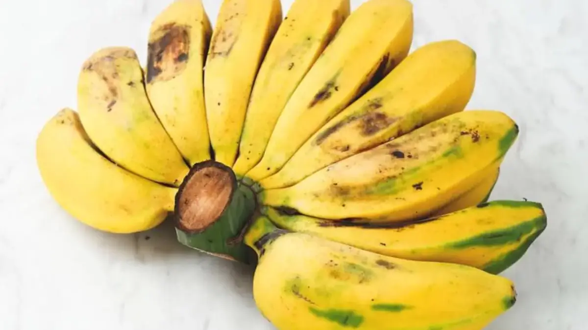 Makan Pisang Tiap Hari, Efeknya ke Tubuh Nggak Main-Main! Ini Penjelasan Ilmiahnya