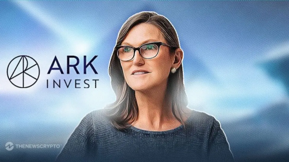 CEO Ark