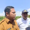 Isu Ketidakharmonisan Dibantah, BBWS Cimanuk-Cisanggarung dan DPUTR Kota Cirebon Nyatakan Kompak