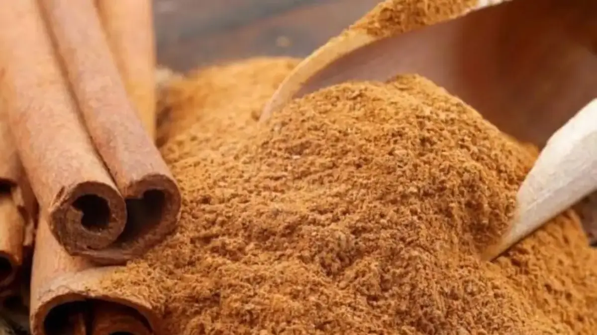 Sering Tambahkan Kayu Manis ke Minuman? Waspadai Dampaknya pada Ginjal Sebelum Terlambat!