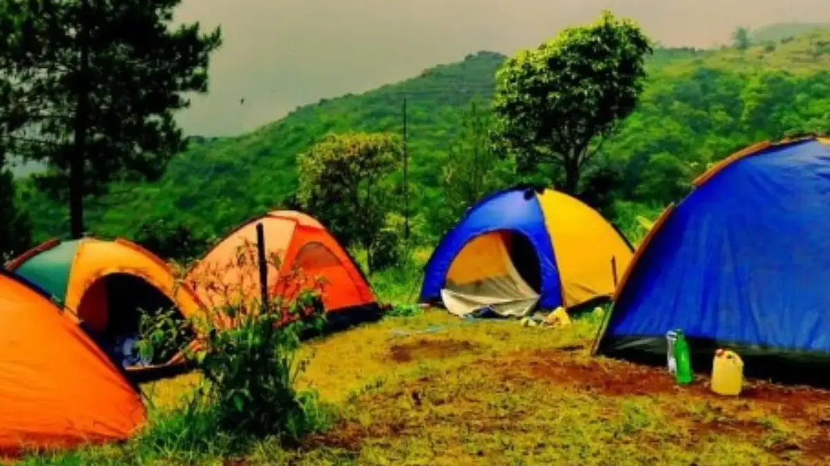 Bisa Liat Edelweis, Cukup Camping di Bumi Perkemahan Ini Dijamin Bakalan Betah Liat Edelweis