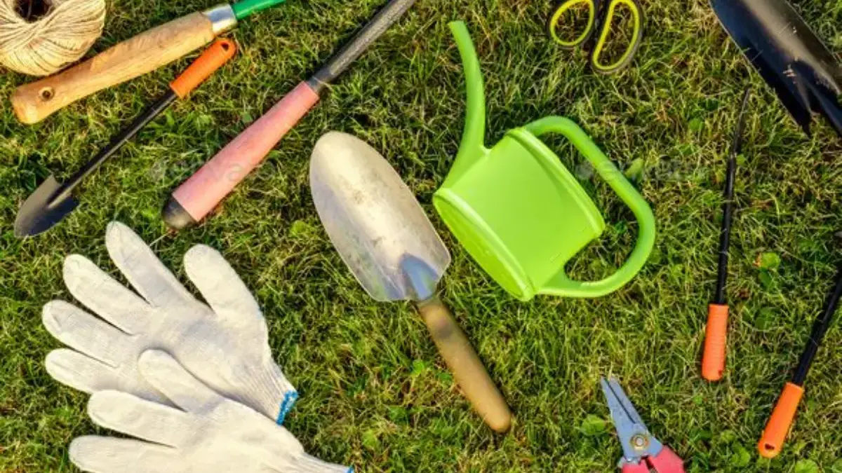 10 Peralatan Dasar yang Harus Dimiliki untuk Memulai Berkebun di Rumah