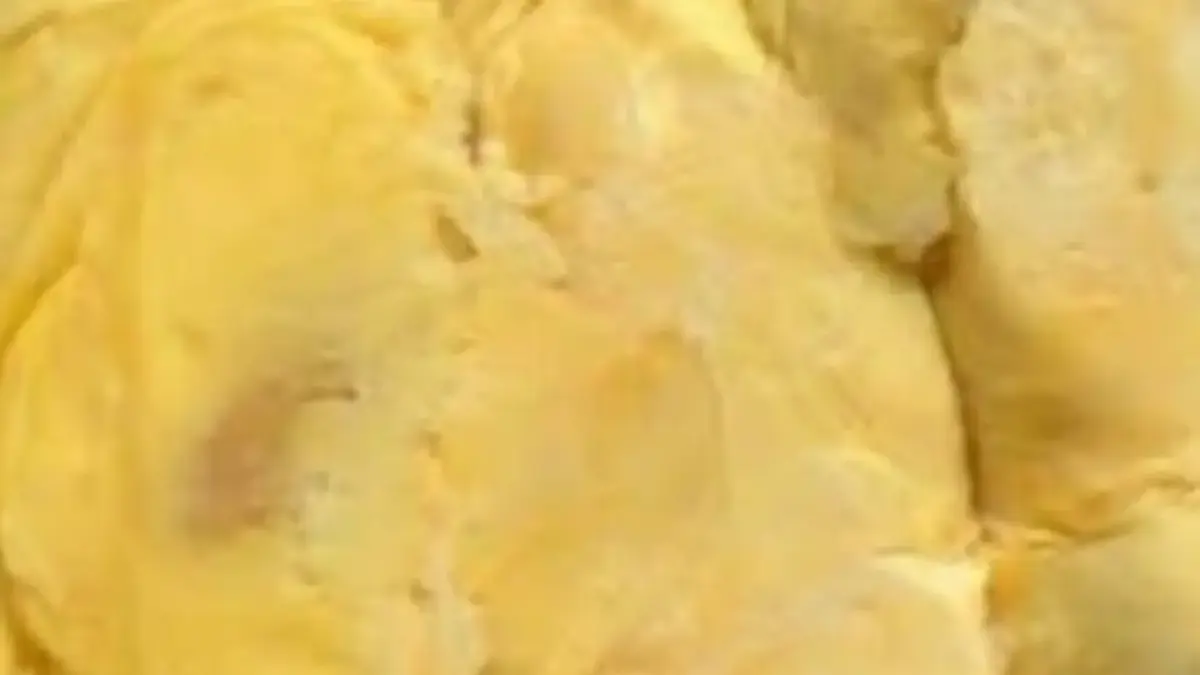 5 Jenis Durian Lokal yang Unggul dan Banyak Digemari Oleh Banyak Orang 