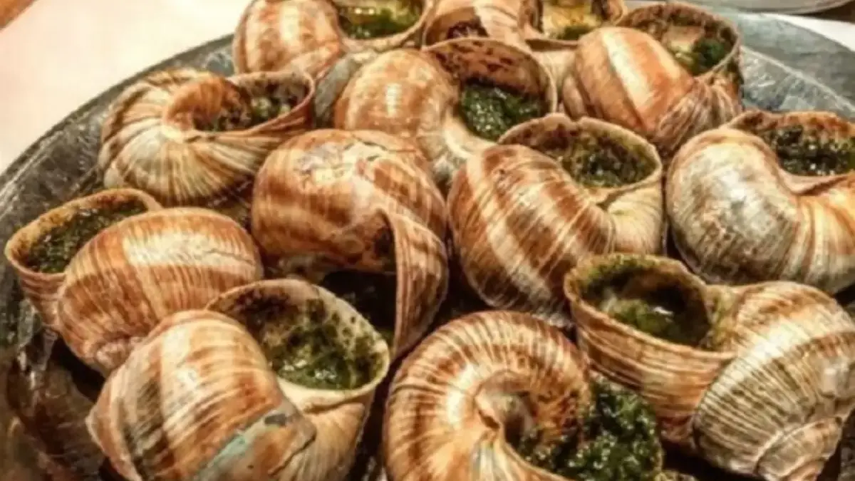 5 Fakta Tentang Makanan Escargot, Makanan Mewah Khas Prancis yang Terbuat Dari Siput 