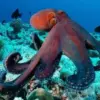 5 Fakta Unik Hewan yang Harus Kamu Ketahui 