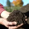 Cara Memanfaatkan Kompos untuk Kebun Mini