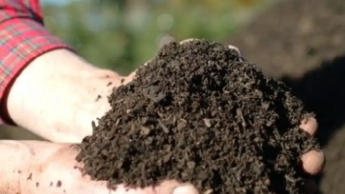 Cara Memanfaatkan Kompos untuk Kebun Mini