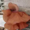 Cara Menyimpan Jamur Kuping Agar Tetap Segar dan Tahan Lama 