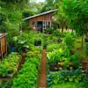 Tips Membuat Kebun Mini di Halaman Rumah yang Mudah bagi Pemula