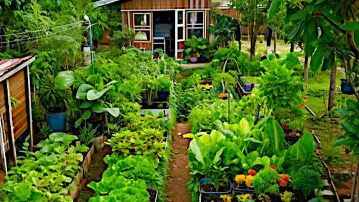 Tips Membuat Kebun Mini di Halaman Rumah yang Mudah bagi Pemula