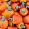 5 Jenis Buah Jambu yang Ditemukan Di Indonesia, Pernah Coba yang Mana ? 