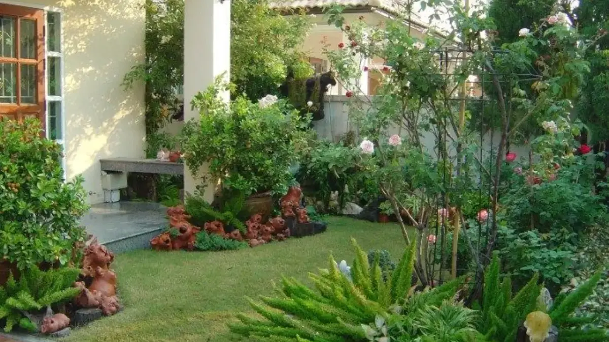 Tips Menata Kebun Mini Agar Lebih Rapi dan Estetik
