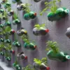 Mengenal Jenis Tanaman Terbaik untuk Berkebun di Halaman Rumah yang Bermanfaat dan Menyenangkan 
