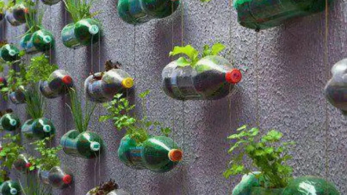 Mengenal Jenis Tanaman Terbaik untuk Berkebun di Halaman Rumah yang Bermanfaat dan Menyenangkan 
