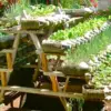 Cara Merawat Tanaman Hidroponik Agar Tumbuh Cepat dan Sehat