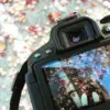 Mudah Banget! Ini 8 Tips Praktis Memulai Hobi Fotografi untuk Pemula