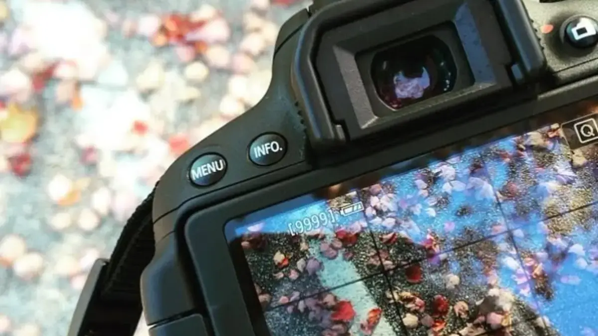 Mudah Banget! Ini 8 Tips Praktis Memulai Hobi Fotografi untuk Pemula