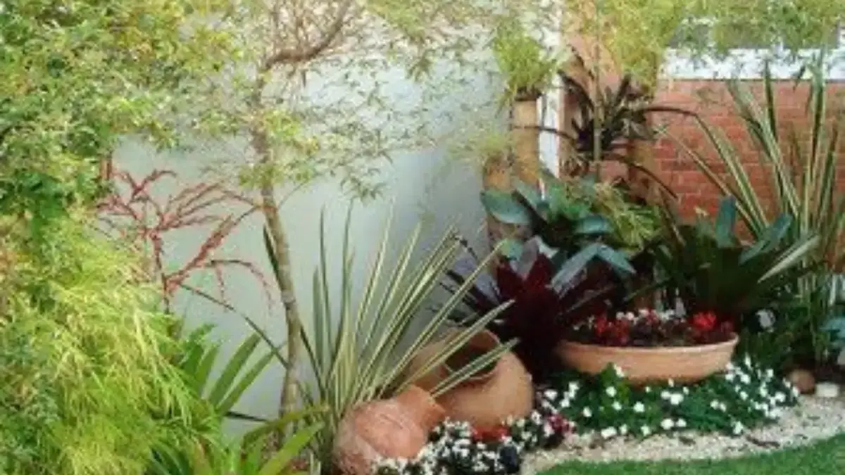 Tips Memilih Pot dan Wadah untuk Kebun Mini di Rumah