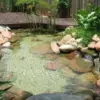 Rekomendasi Desain Kolam Ikan Minimalis dan Mewah, Cocok Untuk Perumhan dengan Lahan Terbatas 
