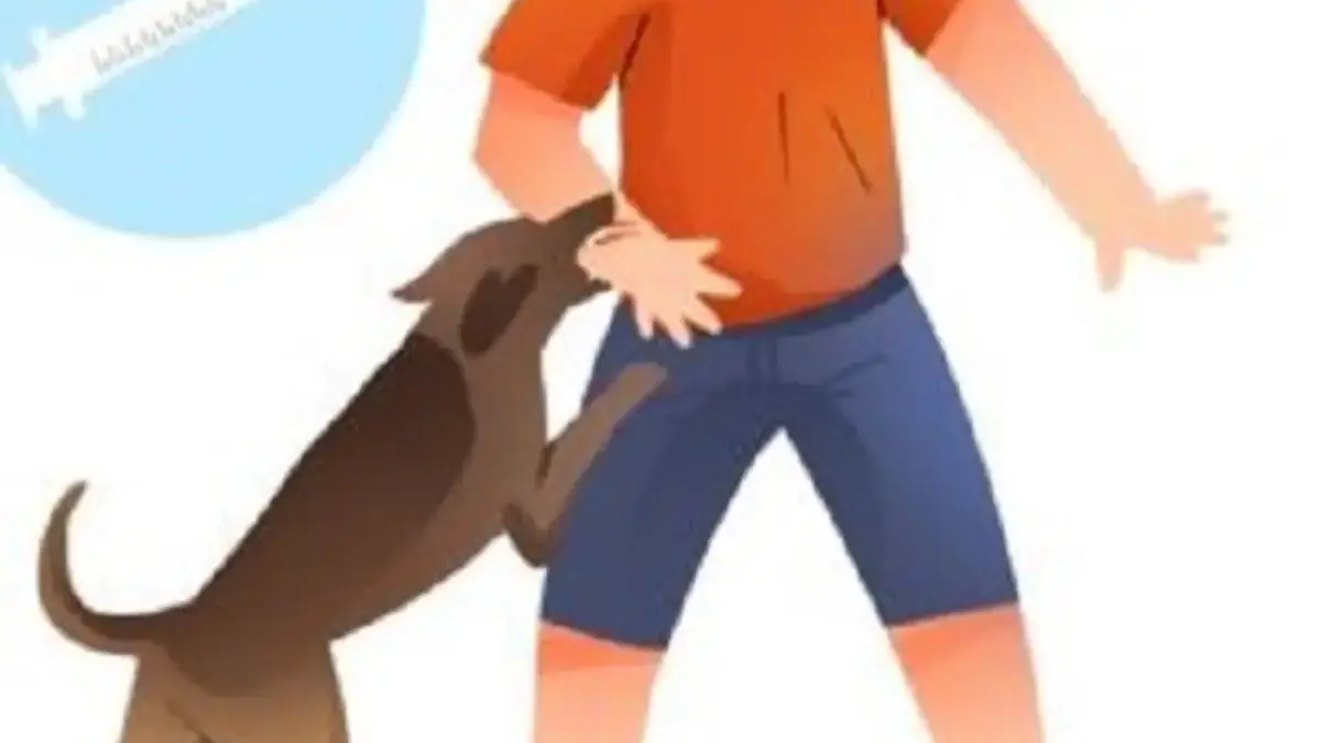 SEREM, Ini yang Terjadi Jika Manusia Tergigit Anjing Rabies