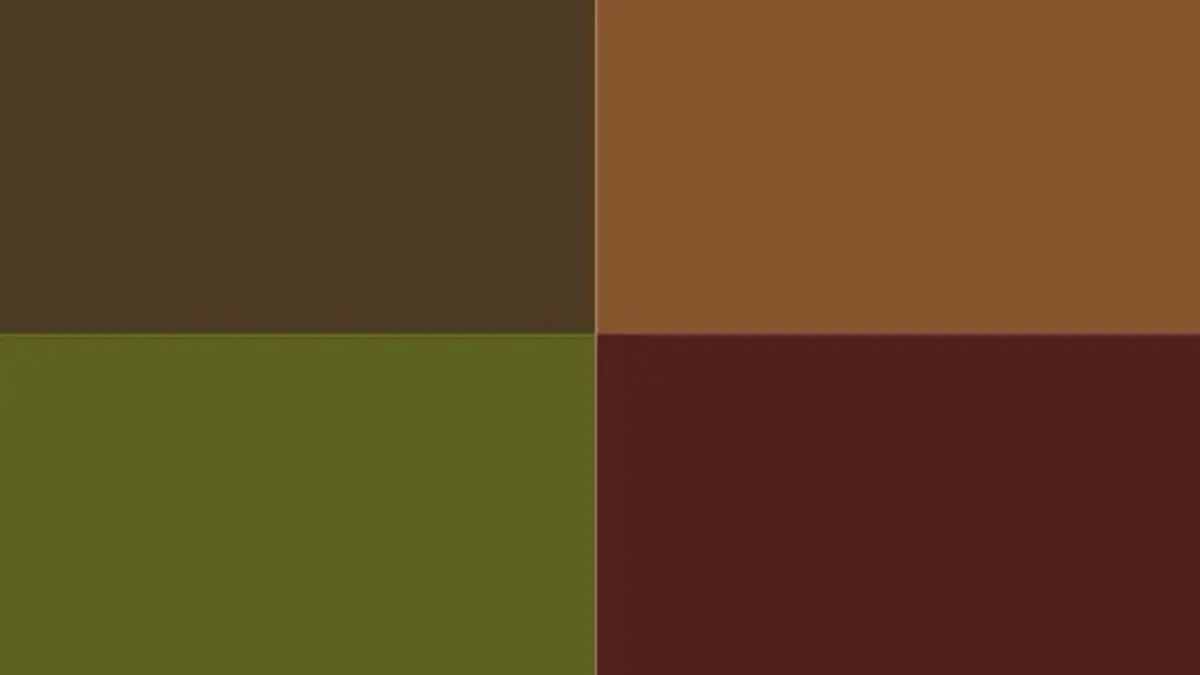 Warna Earthy vs Warna Netral Biasa, Mana yang Lebih Unggul untuk Rumahmu?