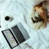Cuma Butuh 8 Langkah, Artikel Kamu Bisa Tembus Halaman Pertama Google!