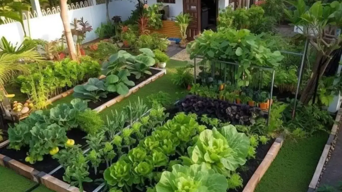 Lahan Sempit Bukan Halangan! Ini 10 Inspirasi Kebun Minimalis di Halaman Rumah yang Bikin Adem dan Estetik