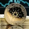 Cardano