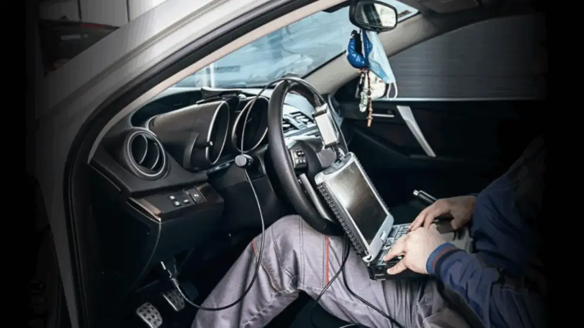 CAR-dano