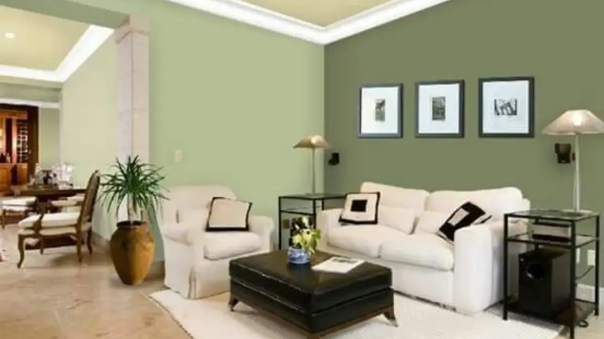 Cat Warna Hijau Cocok dengan Warna Apa? Ini 7 Kombinasi yang Bikin Rumah Makin Menawan