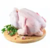 Mau Beli Ayam Utuh? Simak 7 Tips Ini Biar Nggak Salah Pilih!