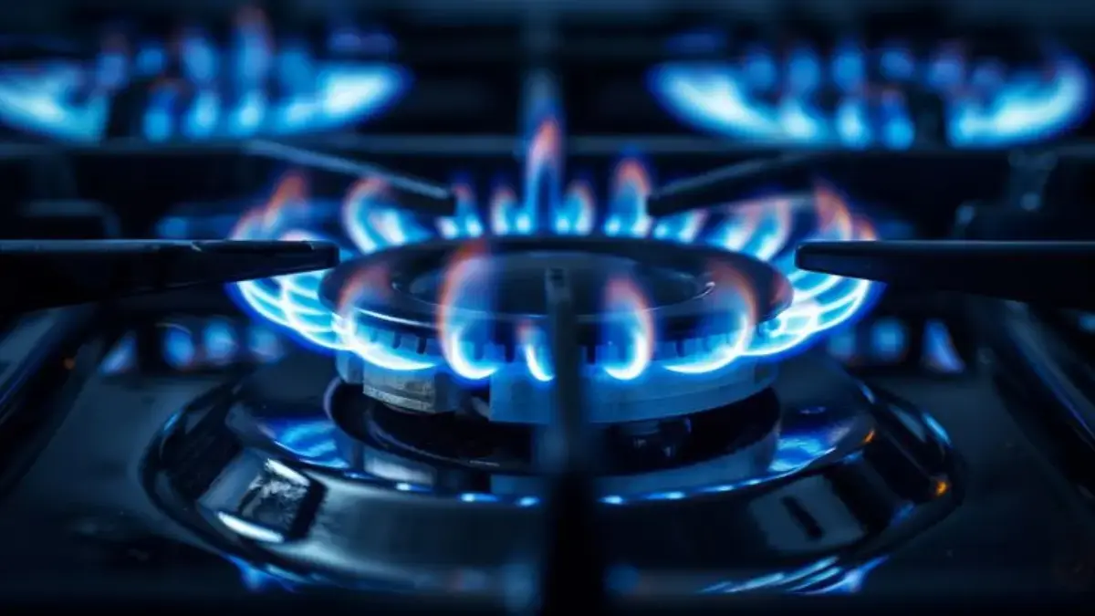 5 Cara Memasak agar Menghemat Gas, Dijamin Hemat!