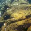 Kamu Harus Tahu Nih, 5 Gunung Api Bawah Laut di Indonesia