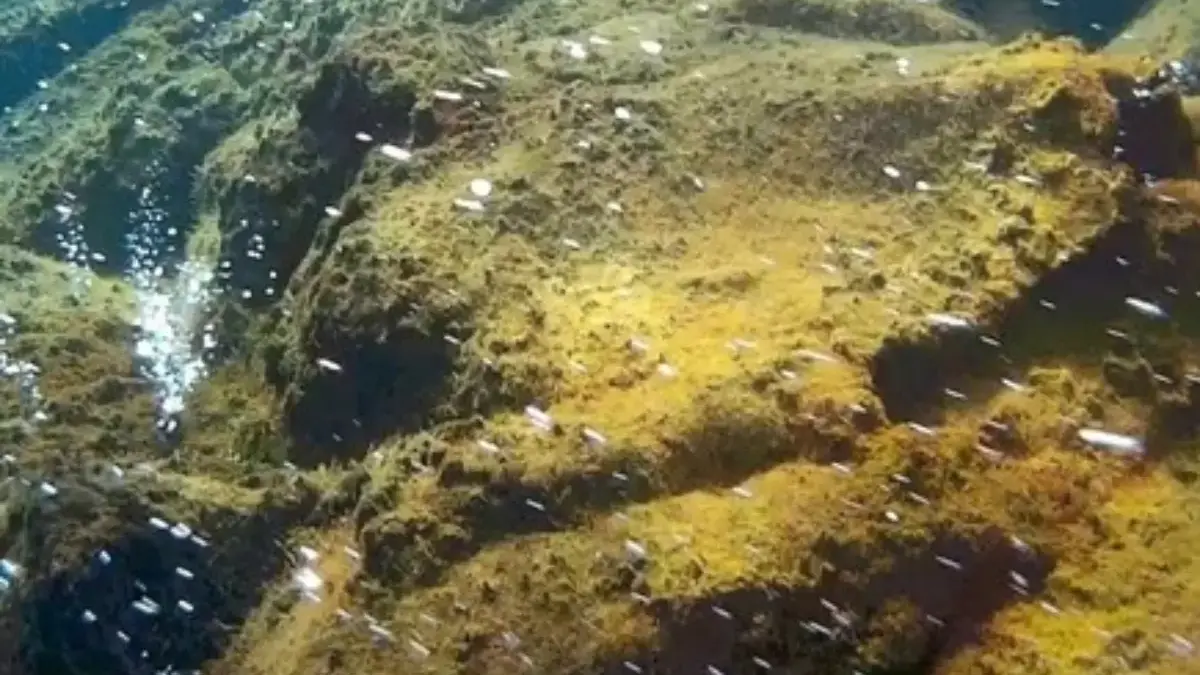 Kamu Harus Tahu Nih, 5 Gunung Api Bawah Laut di Indonesia