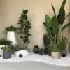 Inspirasi Desain Taman Minimalis Unik dan Modern untuk Rumah Kecil yang Memukau
