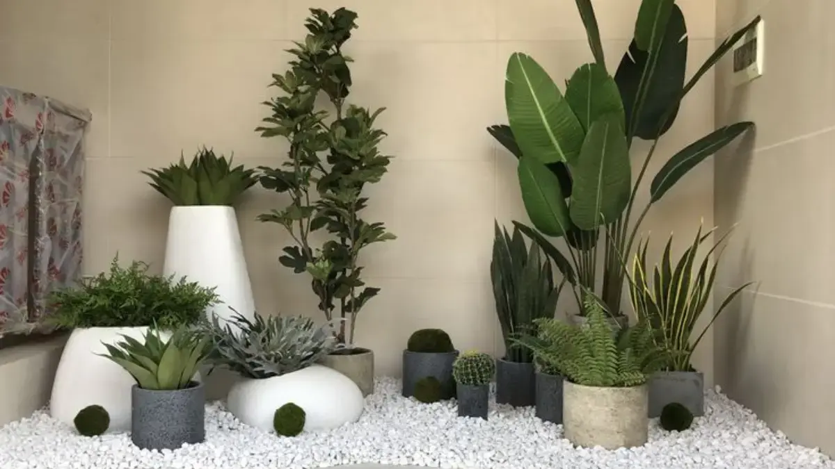 Inspirasi Desain Taman Minimalis Unik dan Modern untuk Rumah Kecil yang Memukau