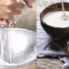 Mengenal Beragam Jenis Santan dan Cara Pengolahannya