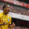 Profil Joao Pedro,